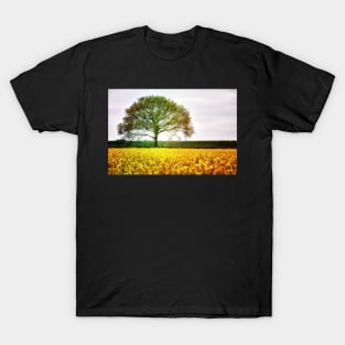 Yellow blanket under Oak T-Shirt